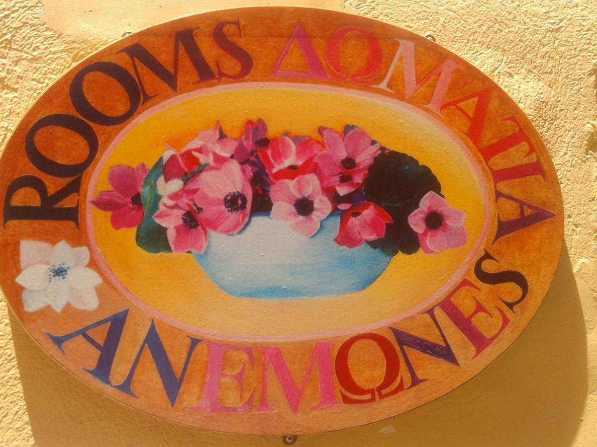 Anemones Rooms Chania  Exteriér fotografie